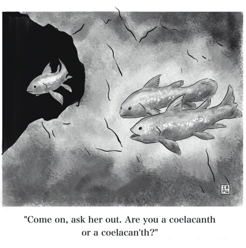 Two fish looking at another one says "ask her out. Are you a coelacanth or a coelacan'th"