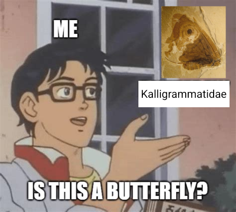 Is this a butterfly meme, but with a kalligrammatid, a butterfly-like lacewing from the cretaceous times.